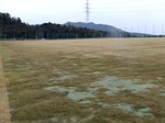 芝生養生中の天然芝グラウンド