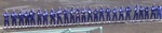 登録全選手(開幕バッテリーを除く)