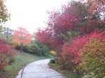 札幌ドームの外は紅葉が楽しめる
