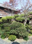 店内の和風庭園