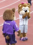 こちらはフレッチェちゃん