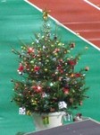 クリスマスツリー