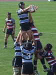 ラインアウトの競り合い