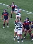 ラインアウトをさばく高鍋
