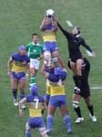 ラインアウトの競り合い