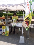 一平くんのお池カレーのブース