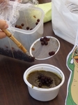 一平くんのお池カレーの中身
