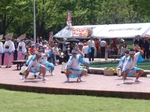 鳴門市連による阿波踊り