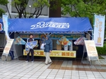 キャラクターカイトの販売