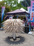 イカ干し回転機