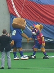 握手する両マスコット