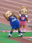 盛り上がるヴォルタくんとティスちゃん
