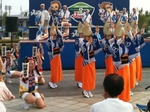 四国大学連による阿波踊り