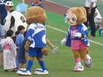 法被を着たマスコットたち