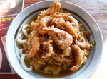 えびかき揚げうどん